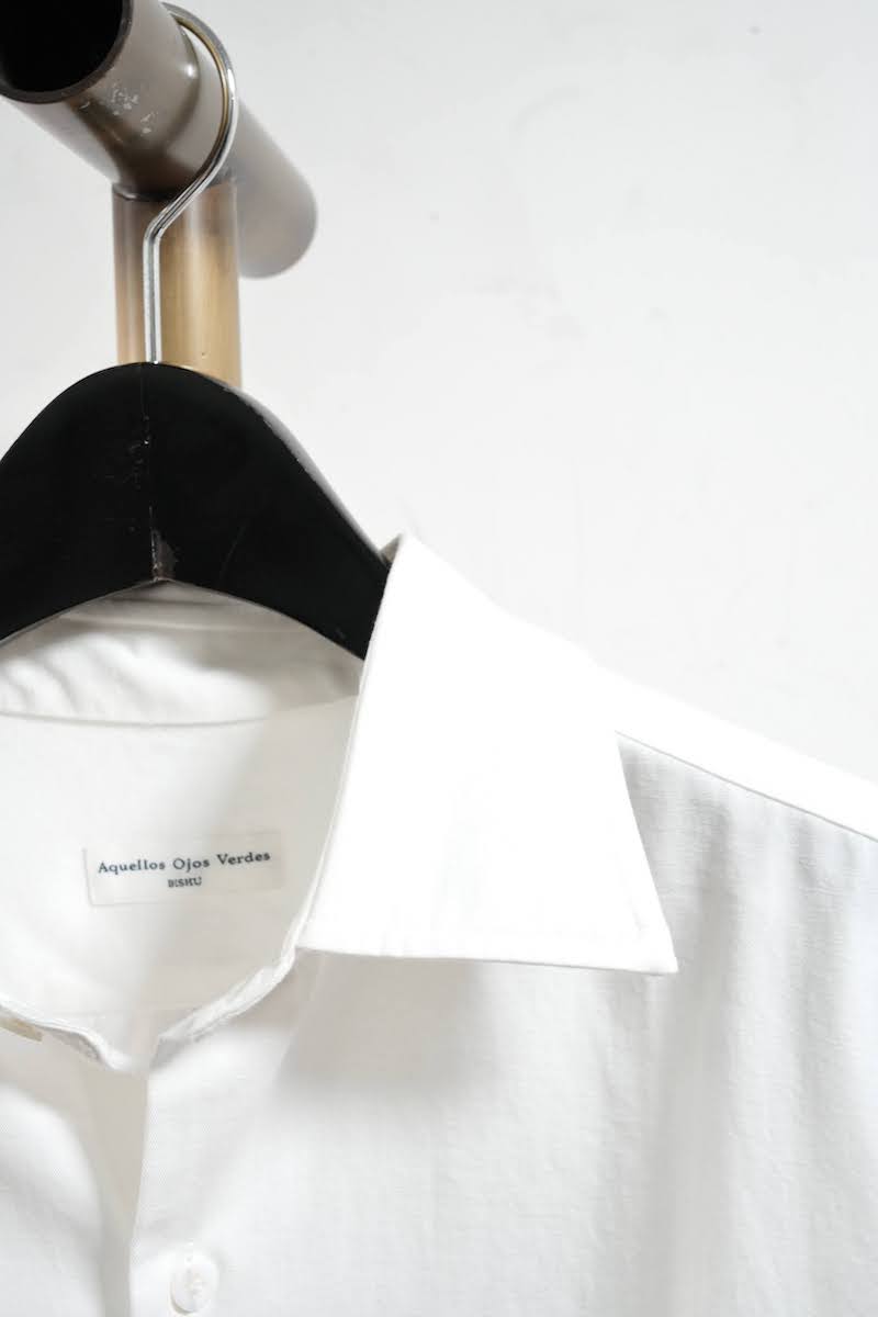 Windsor wide collar shirt (Vintage dressed twill)