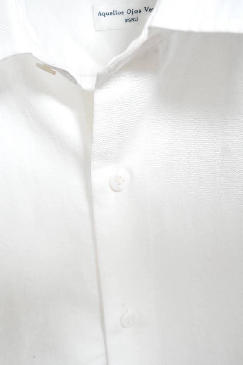 Windsor wide collar shirt (Vintage dressed twill)