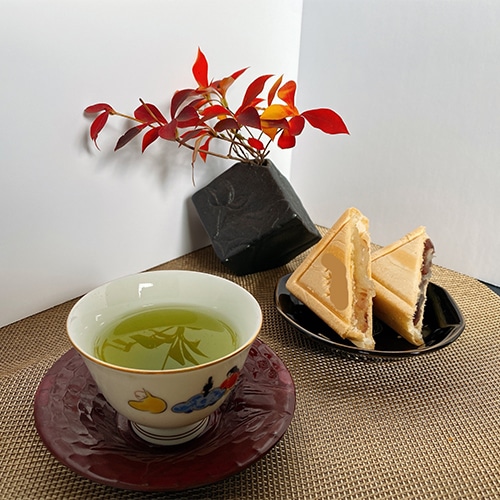 八女茶お試しセット2g （特上煎茶、上煎茶、ティーバッグ