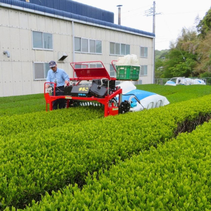 最高級煎茶】沓掛 | 深蒸し茶 | 日本茶専門のオンラインマルシェ