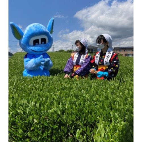 辰蔵【TATSUZOU】シリーズ4種詰め合わせ 100g×4袋