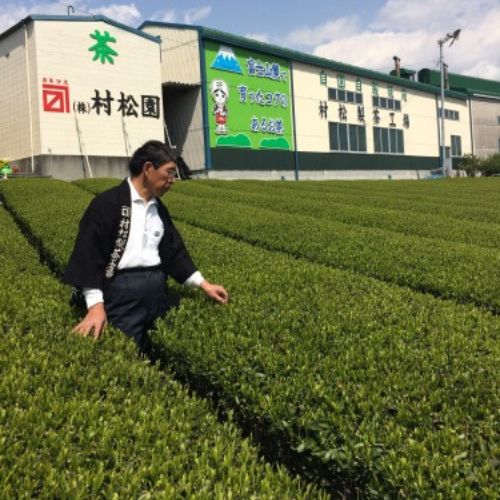 大地の茶 【中蒸し一番茶 静岡 富士市 茶葉 100g×5袋】