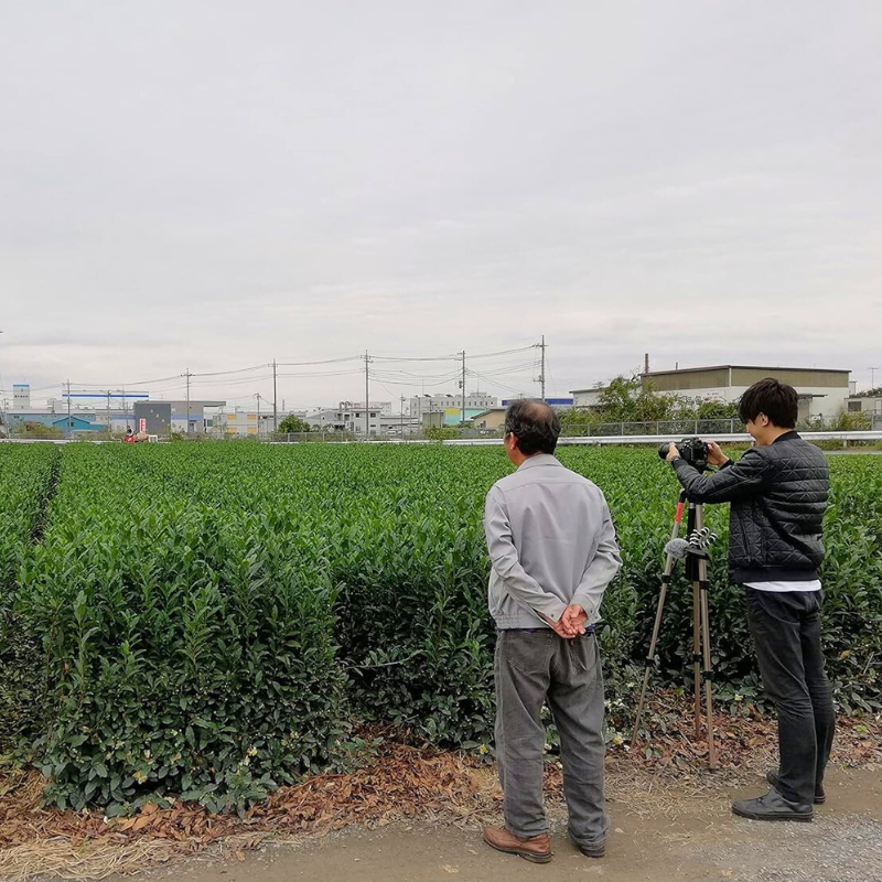 【狭山茶】茶畑直販☆煎茶１袋(令6年産)2.5kg一番茶☆深蒸し緑茶日本茶無添加 世界農業遺産認定の落ち葉堆肥農法で育てた狭山茶 特上煎茶 (深