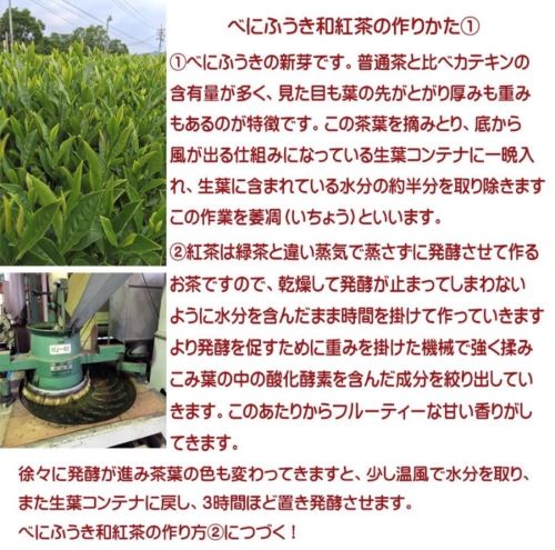 べにふうき和紅茶 2g×12個入り ティーパック 3袋