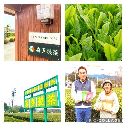 新茶【奉納茶】特上かぶせ茶 茶葉100g入り3袋
