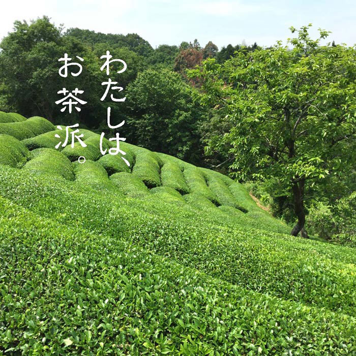 大和焙じ番茶 100g