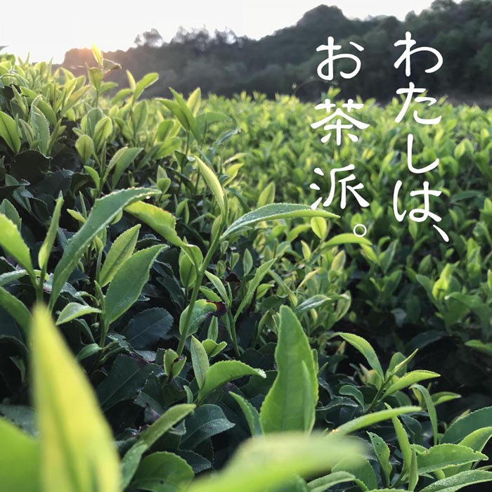 大和紅茶 50g