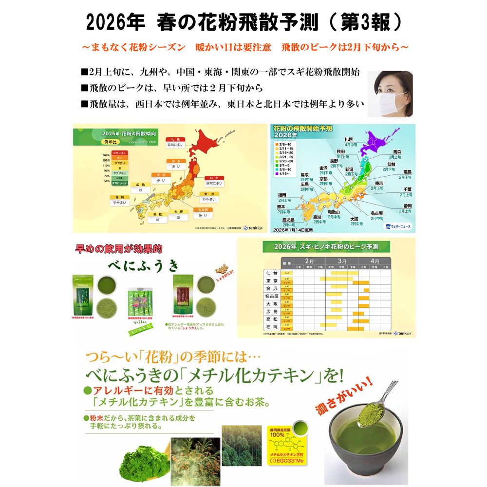 花粉症の方へ  粉末緑茶【べにふうき】 業界トップクラス!! メチル化カテキン含有量 ・携帯に便利なスティック