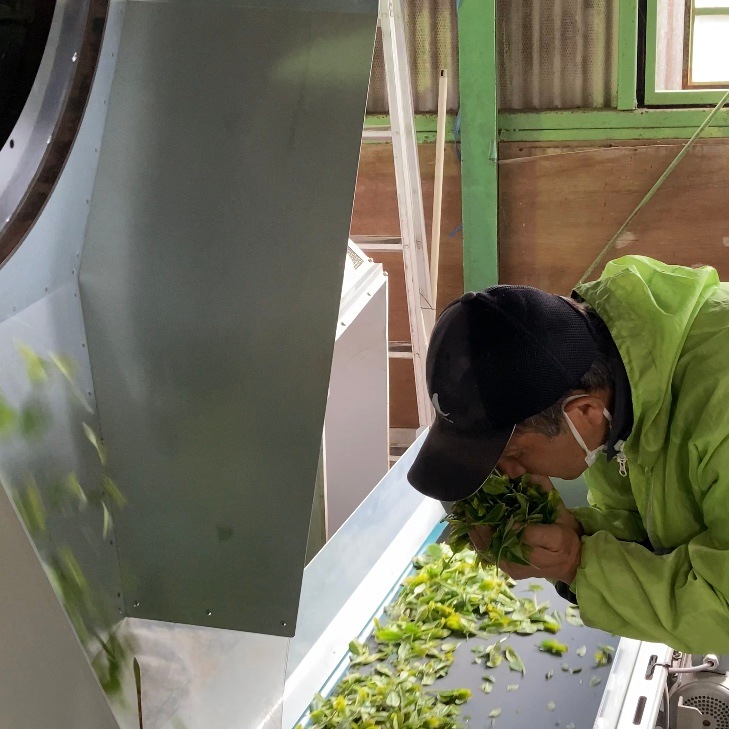 【ふわり。花のような甘い香り】香り緑茶『花ここち』ティーバッグタイプ