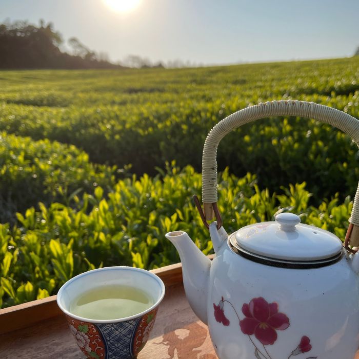 あまたま農園 自然栽培 煎茶3個セット 80gx3個