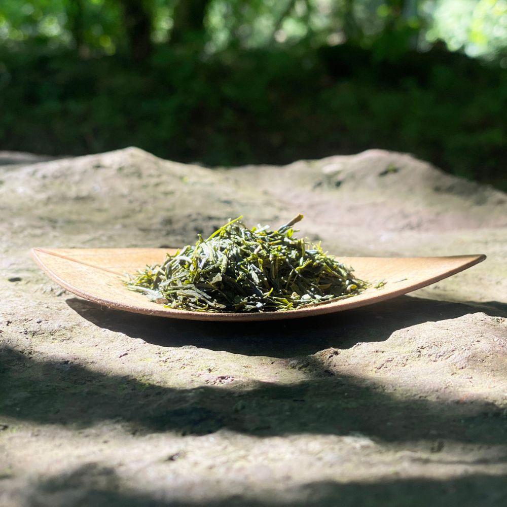 木陰で一服　自然栽培煎茶リーフ70g×3袋