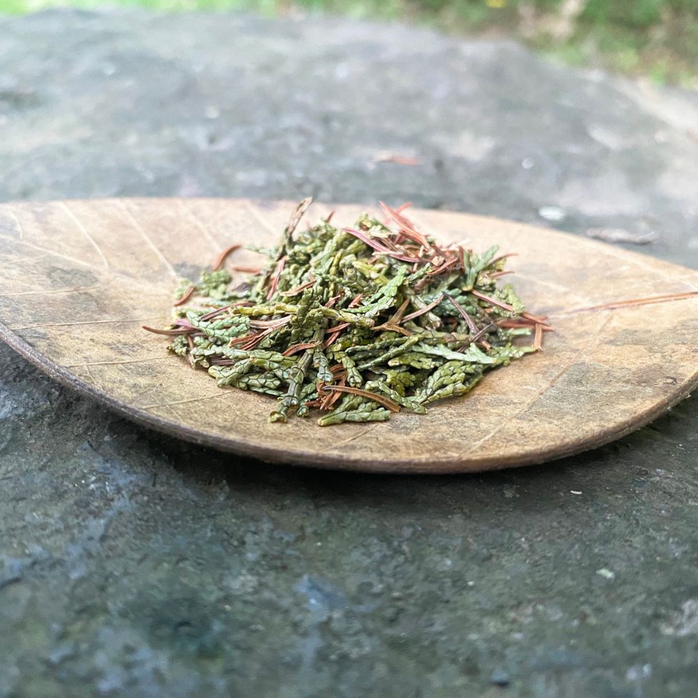 木陰で一服 ForesTEA(スギヒノキ茶)ティーバッグ4g×10p×3袋