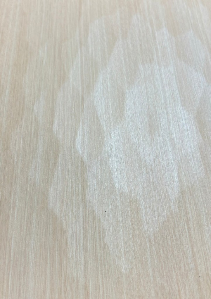 扉模様の例③