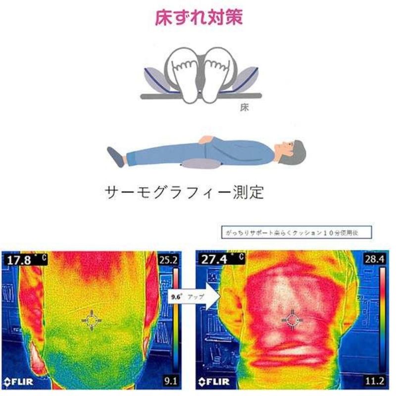 がっちりサポート楽らくクッション［2個入］全3色