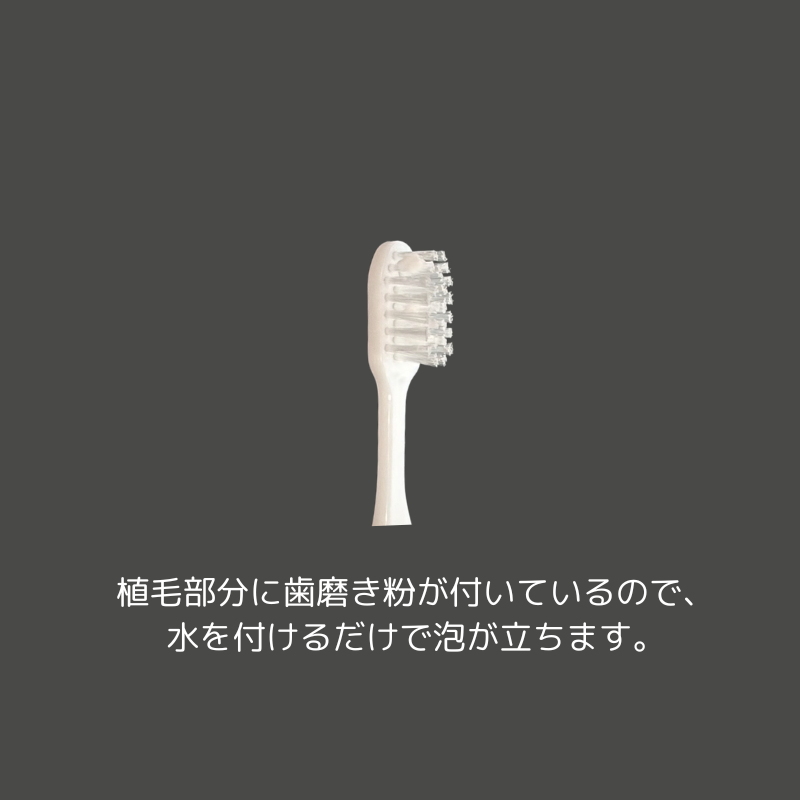 千代田オリジナル インスタント歯ブラシ LC2［4,000本入］