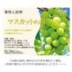 入浴剤 マスカット クリアタイプ 15kg