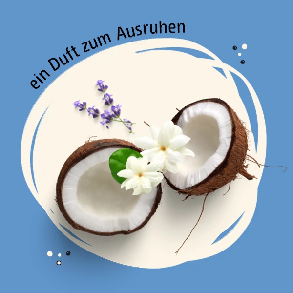 フォーミングバスソルト  なまけもの