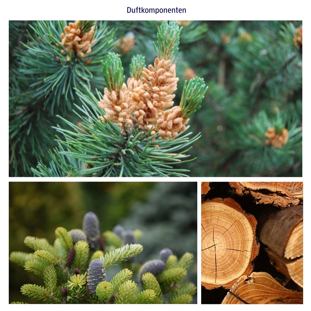 フォーミングバスソルト フォレストドリーム