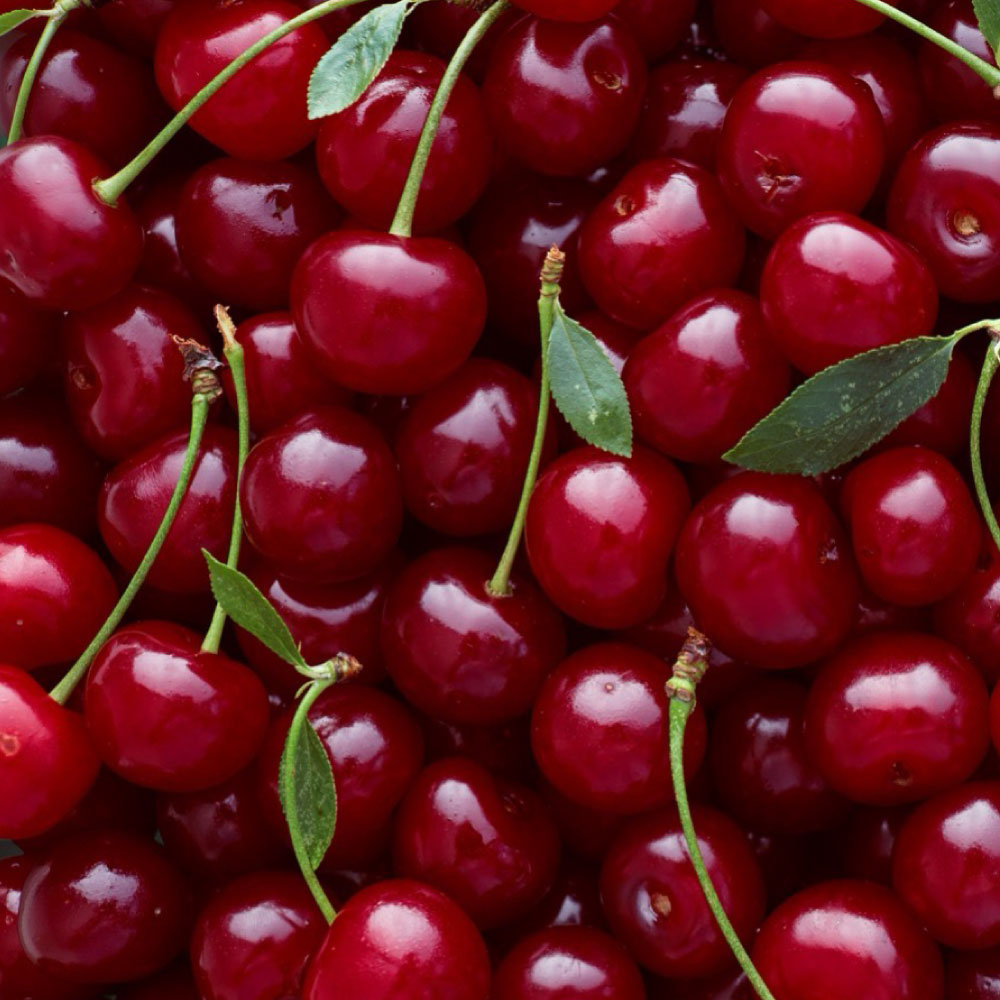 Oyess（オーイエス） リップクリーム　チェリー