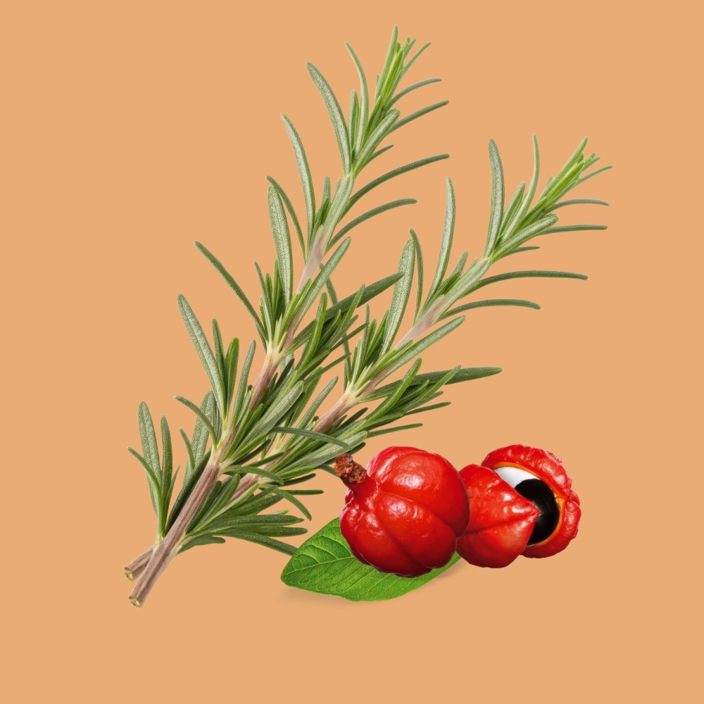 エプソムソルト入りバスソルト ガラナ&ローズマリー 60g