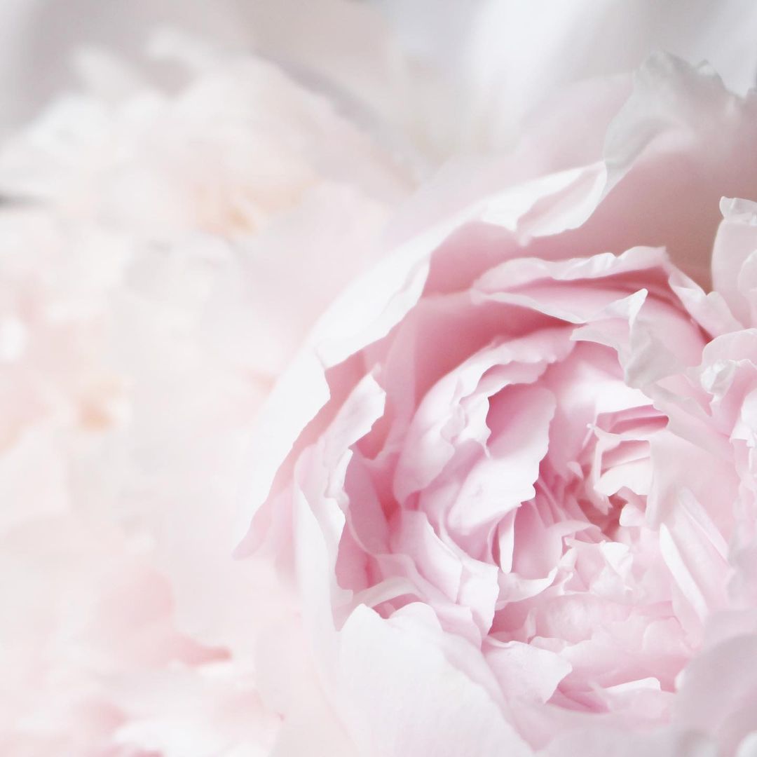 ハンドソープ フローラルピオニー