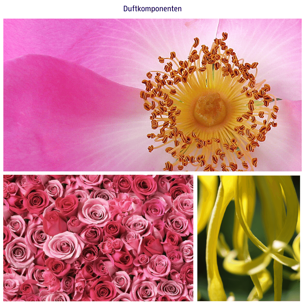 ミニシャワージェル&バスソルトギフトセット