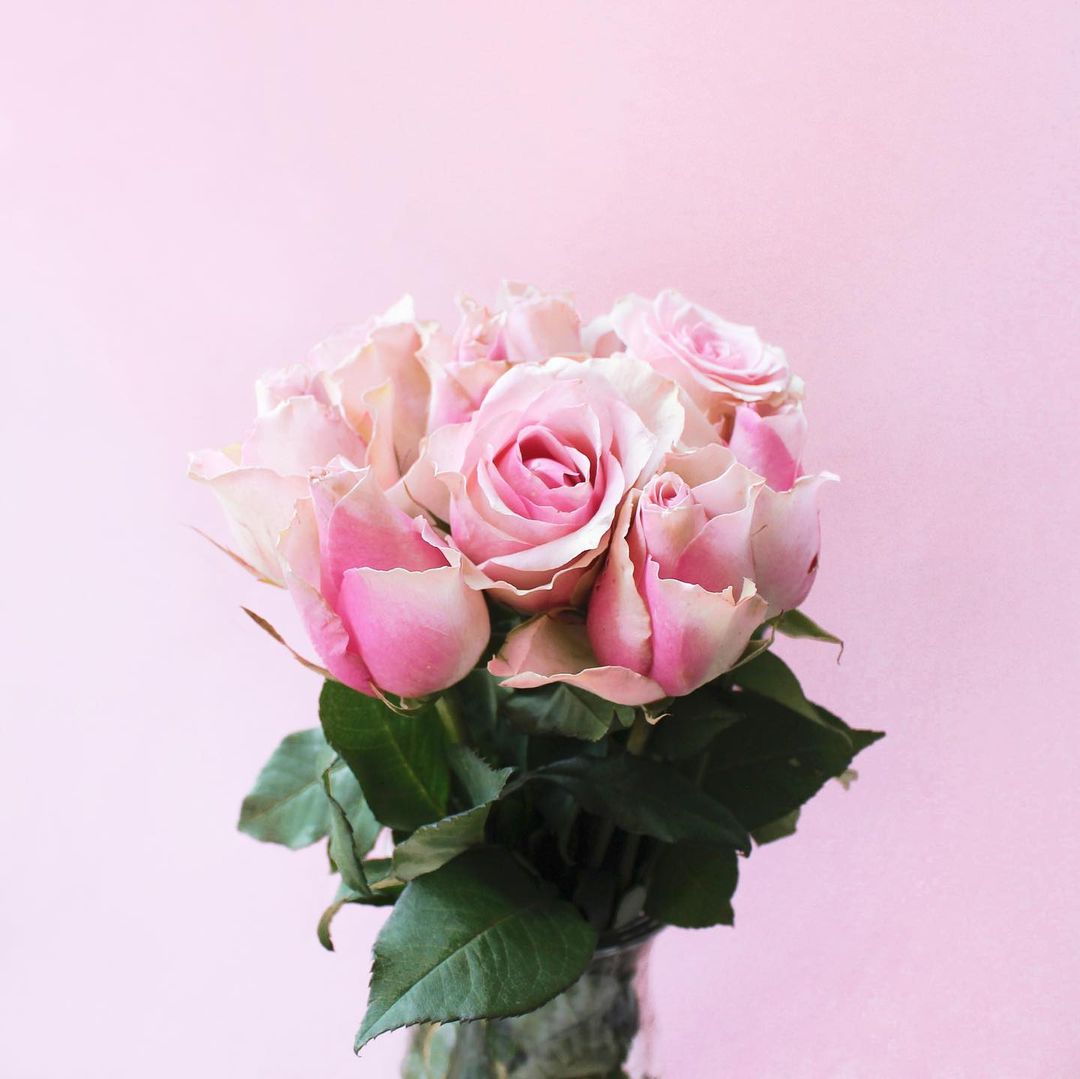 ミニシャワージェル&バスソルトギフトセット