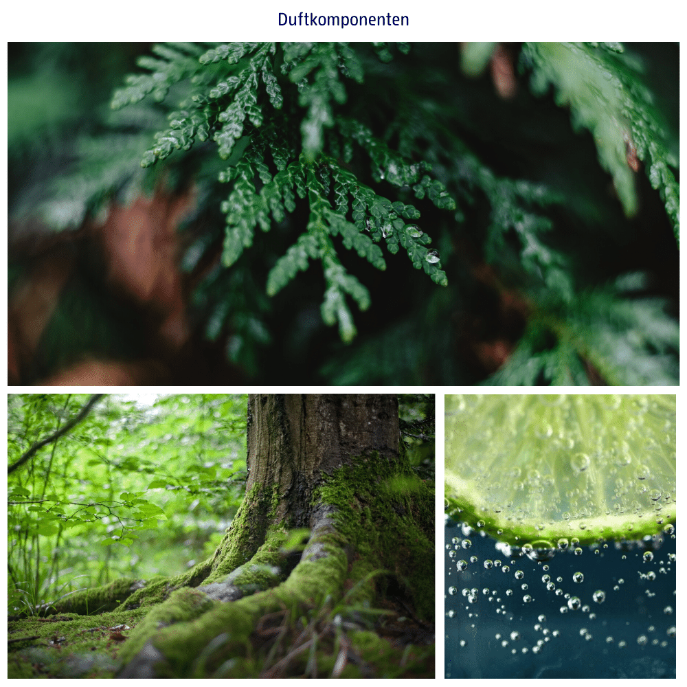 バスソルト リロード