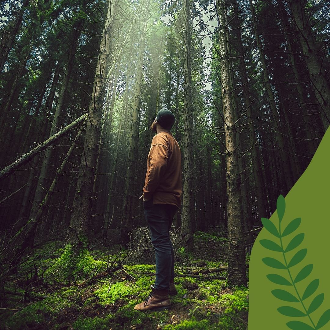 バスソルト リロード