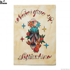SOFTMACHINE NEVER GIVE UP FLASH