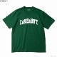 CARHARTT WIP S/S UNIVERSITY T-SHIRT (CHERVIL/WHITE)
