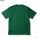 CARHARTT WIP S/S UNIVERSITY T-SHIRT (CHERVIL/WHITE)