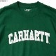 CARHARTT WIP S/S UNIVERSITY T-SHIRT (CHERVIL/WHITE)