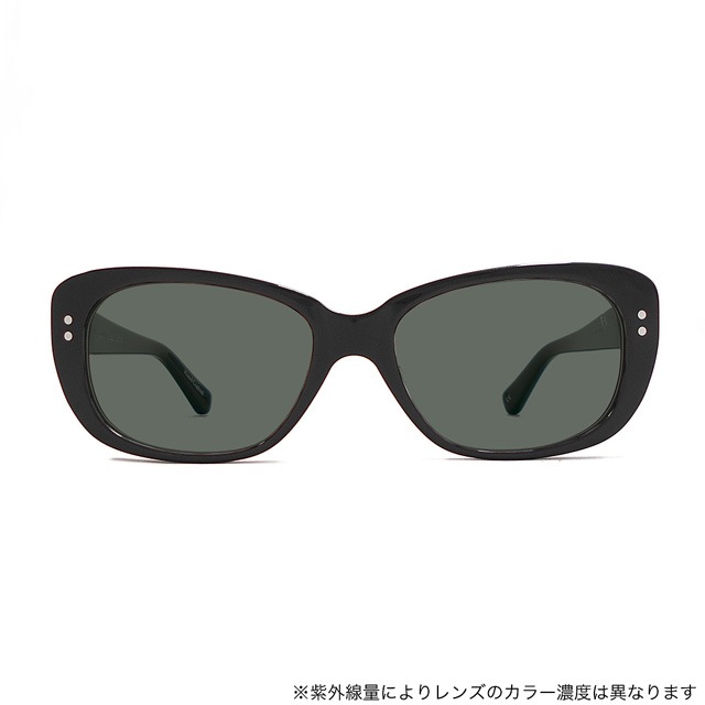 BLACK FLYS FLY LOGAN [BLACK/GRAY PHOTOCHROMIC LENS]