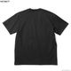 CARHARTT WIP S/S CHASE T-SHIRT (BLACK/GOLD)