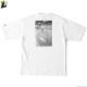 F.A.T. �� Sb �� Live "LIVE THREE" (WHITE) [F32010-TS10]