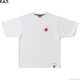 F.A.T. N.T. "ENRAI" [F32610-TS02]