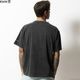 ROARK "NATIVE PLANTS" WELL WORN TEE