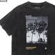 ROARK "NATIVE PLANTS" WELL WORN TEE