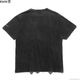 ROARK "NATIVE PLANTS" WELL WORN TEE