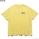 ROARK "NATIVE PLANTS" WELL WORN TEE