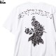 SOFTMACHINE FEATHERS-T (WHITE)
