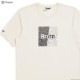 BRIXTON CROWD ART S/S TEE (STONE)