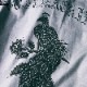 SOFTMACHINE FEATHERS SHIRTS L/S (GRAY)
