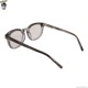EVILACT EYEWEAR YALE II - GRAY DEMI��GRAY CLEAR/COLOR PHOTOCHROMIC BROWN LENS [EAE24-02-09]