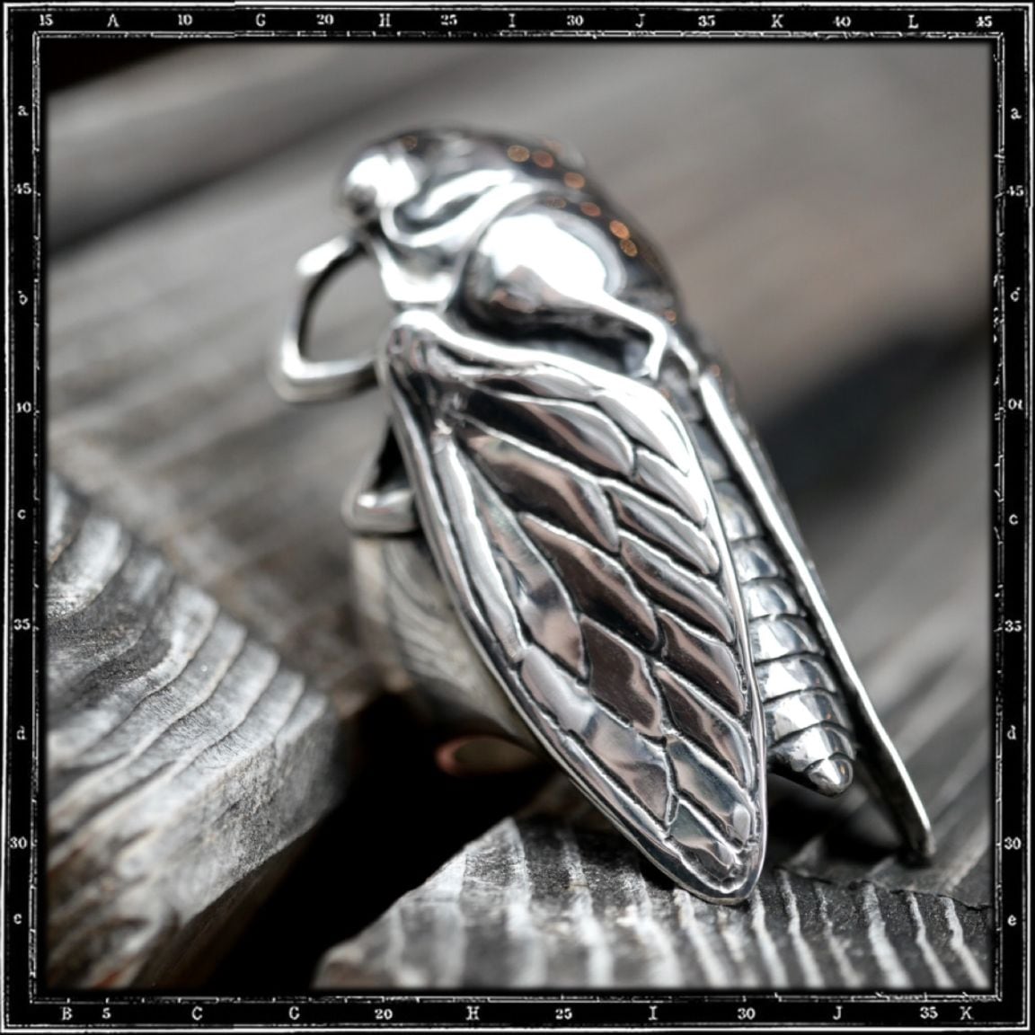 CICADA RING