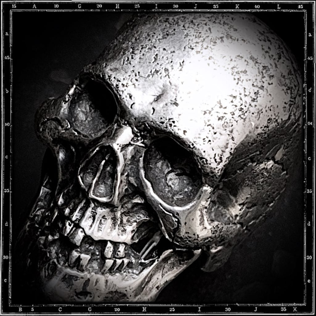 LOST SKULL RING