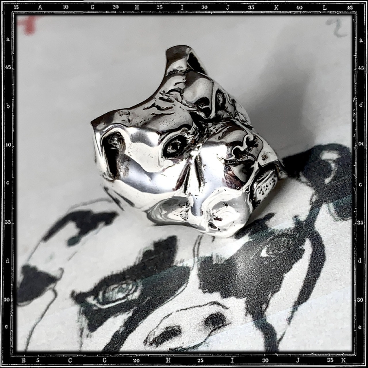 BOXER DOG RING