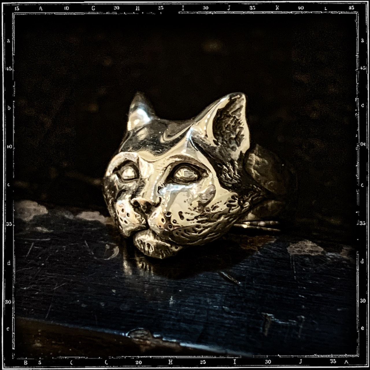 CAT RING