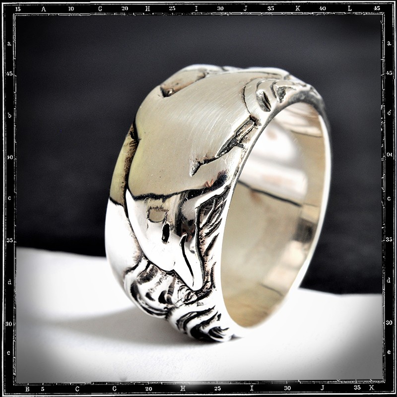 DOLPHIN BAND RING